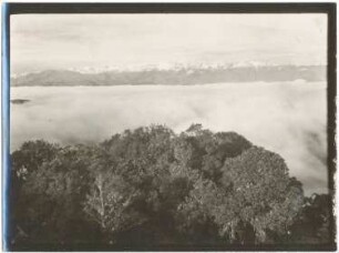Nebelwald, Wolkenbank und Cordillera Quimsa Cruz