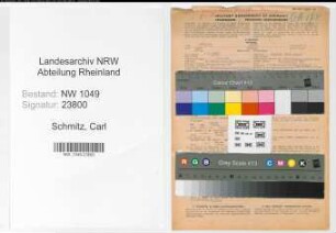 Entnazifizierung Carl Schmitz , geb. 04.03.1889 (Geschaeftsfuehrer)