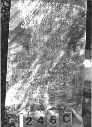 Grabstein 246 (Index: 99786865) Maße HxBxT: 182x59x26 cm Symbolik: geknickte Rose Besonderheit: kulturhistorisch wertvoll / hist.-wiss. und künstl.-formale Gründe (Gemeindestellung, Inschrift): Grabstein 246C