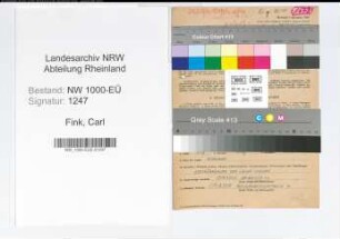 Entnazifizierung Carl Fink, geb. 01.03.1895 (Kaufmann)