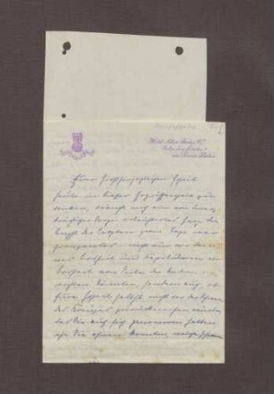 Schreiben von Lina Richter an Prinz Max von Baden; Bemerkungen zu den Angriffen der Mehrheitsparteien auf Prinz Max bzgl. der Hohenlohe-Briefaffäre
