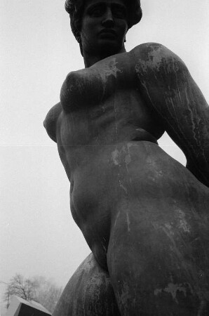 Wien : In Wien, am Schweizergarten, Plastik von Maillol - siehe 444_06