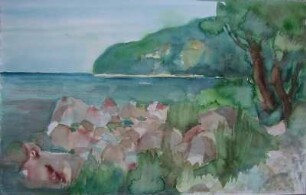 Schwarzer See im Sommer