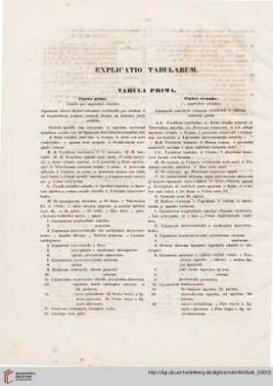 Explicatio tabularum