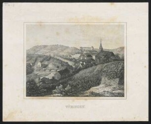 Tübingen. Ansicht von den Weinbergen am Südwesthang des Österbergs : Stahlstich