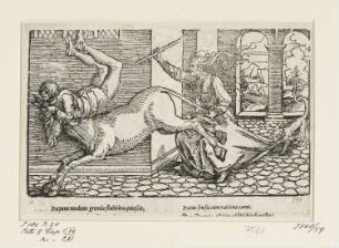 Von dem Neide, aus: "Petrarcas Glücksbuch", Band II, Kapitel 106
