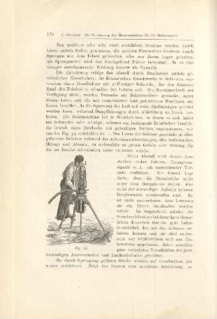 Fig. 34
