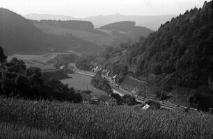 Blick in das untere Höllental bei Buchenbach