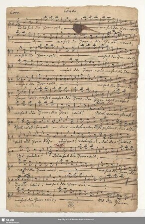 Canto [unvollst.]