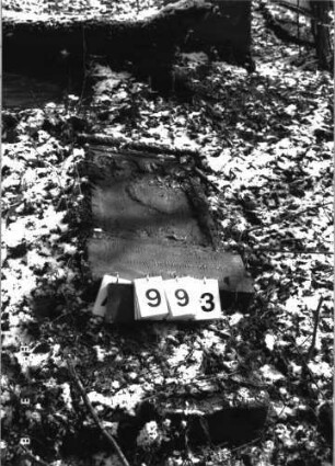 Grabstein 993