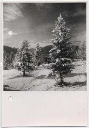 Winterlandschaft