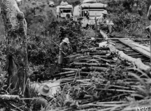 An einer Brücke : Einige Teilnehmer der Expedition an einer Holzbrücke. Im Hintergrund stehen die Expeditionsfahrzeuge in einer Reihe.