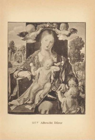 Albrecht Dürer. Die Madonna mit dem Zeisig. 557 F