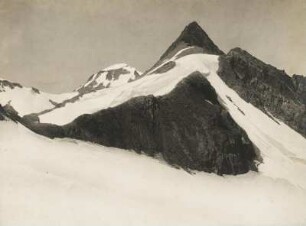 Österreich. Tirol. Ansicht der Stubaier Wildspitze, einem 3341 m hohen Berg in den Stubaier Alpen mit dem Schaufelferner und Daunkogelfernergletscher