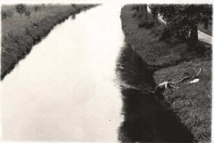 Polizei-Mehrkampf 1929 in Rastatt