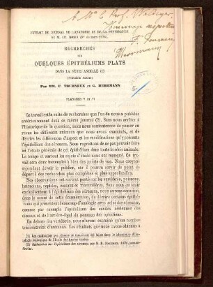 1: Recherches sur quelques épithéliums plats dans la série animale