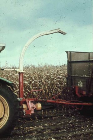 Fotografie: Futtererntetechnik, Maissilage, Maishäcksler angebaut