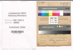 Entnazifizierung Ottilie Kurtscheid, geb. 07.09.1907 (Kontoristin)