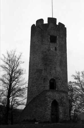 Freiburg, Zähringen: Zähringer Burg