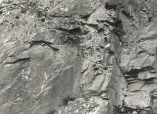 Scholle von grauwackenartigem Quarzit (von links unten), eingepreßt in tonschieferähnlichen Phyllit (Ordovicium). Aufschluß an der Geigenbachsperre südlich von Poppengrün bei Falkenstein 