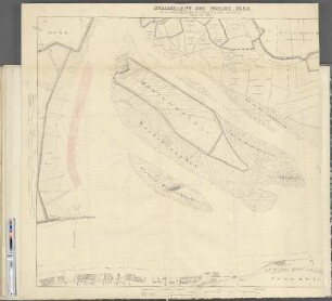 Blatt VIII. 1876. : Ross. [Griesenwärder.] Mühlenwärder. Maakenwärder. Altona. [Neumühlen.]