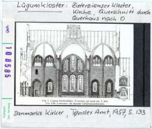 Lügumkloster: Zisterzienserkloster, Kirche, Querschnitt durch Querhaus nach Osten