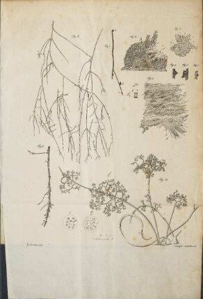 Abbildungen