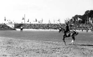 Reitturnier auf der Reichsnährstandausstellung 1939 : Ein Reitturnier auf dem Großen Ring im Rahmen der 5. Reichsnährstand-Ausstellung 1939 in Leipzig.