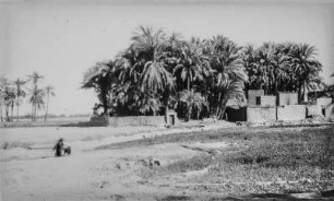 Dorf bei Luxor (HAPAG-Mittelmeerfahrt der Oceana Leonhardt 1929)