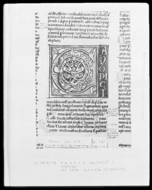 Gratian — Initiale C(anonici), Folio 128verso