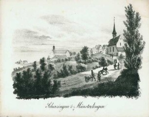 Scherzingen & Münsterlingen