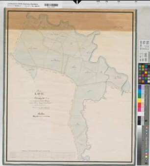 Nette (Dortmund), Mengede (Dortmund), Teilung der Flautgotte, Reinkarte