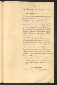 Standesamtsbuch der Stadt Aschaffenburg: Geburten 365/1900 - 184/1901
