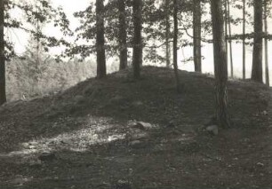 Bronzezeitliches Hügelgrab im Forst Nimbschen, Abteilung 8
