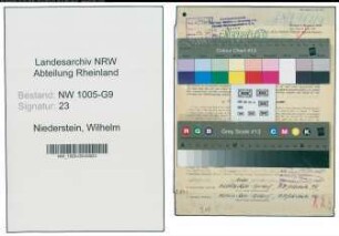 Entnazifizierung Wilhelm Niederstein , geb. 16.10.1905 (Ingenieur)