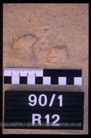 90/1, R12