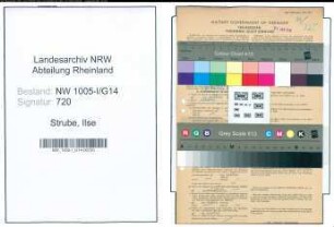 Entnazifizierung Ilse Strube , geb. 09.12.1910 ()
