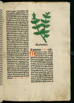 134r-134v, Bachmüntz (252. Kapitel)