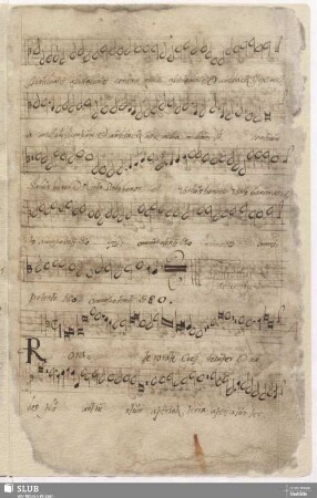 4. Introitus: Rorate caeli / Anonymus