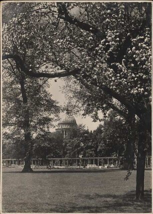 Freundschaftsinsel, Potsdam: Ansicht