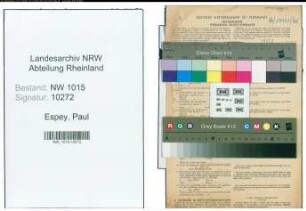 Entnazifizierung Paul Espey , geb. 08.04.1886 (Lehrer)