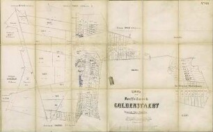 N° VIII; Charte von der Dorffeldmark Goldenstaedt. domanial Amts Schwerin