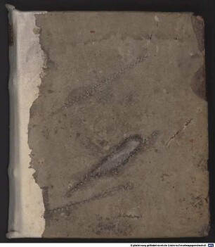 Kanonistische Sammelhandschrift - BSB Clm 6245