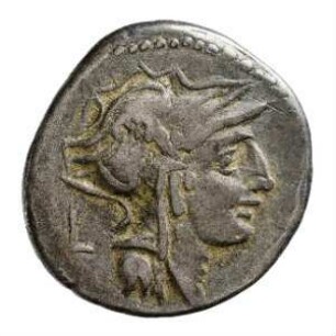 Münze, Denar, 91 v. Chr.