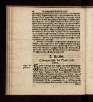 2. Capitel. Heylung und Cur der Blattern und Flecken