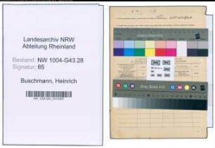Entnazifizierung Heinrich Buschmann , geb. 11.08.1903 (Assessor)