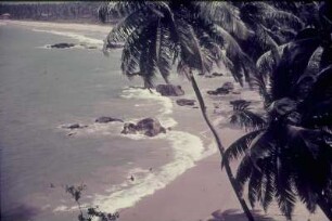 Reisefotos Karibik. Strand mit Felsbrocken im flachen Wasser und mit Palmen