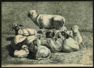 Roos, Joh. Heinrich Schafe mit Lämmern