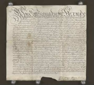 1703 Mai 23. Lehnsbrief des Bischofs zu Paderborn an Heinr. Balthasar Kleinsorge.