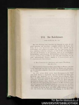 XVI. Die Badehäuser.